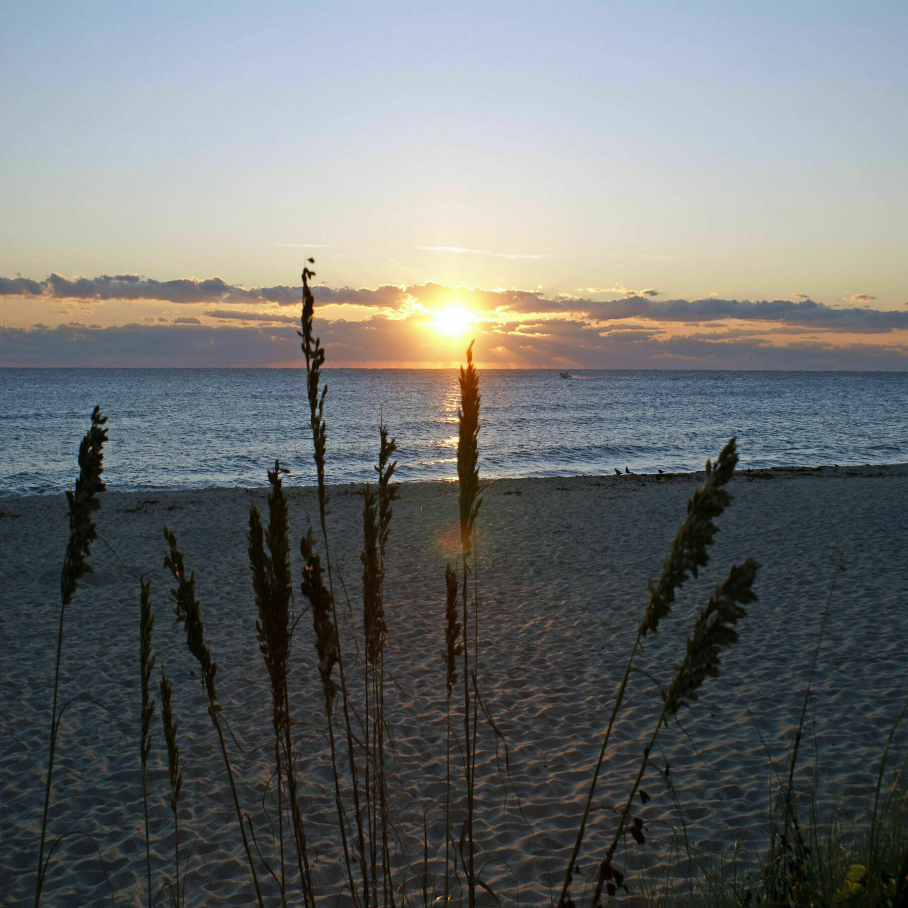 Sabal Palm House Bed And Breakfast Lake Worth Beach Esterno foto